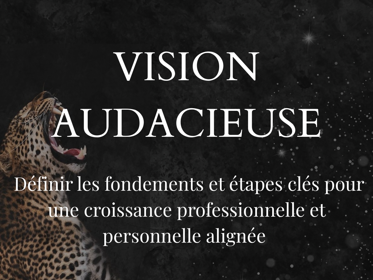 Vision audacieuse